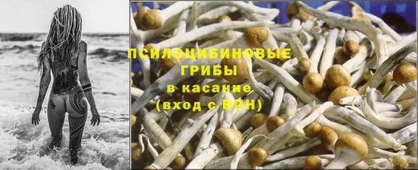 2c-b Абдулино